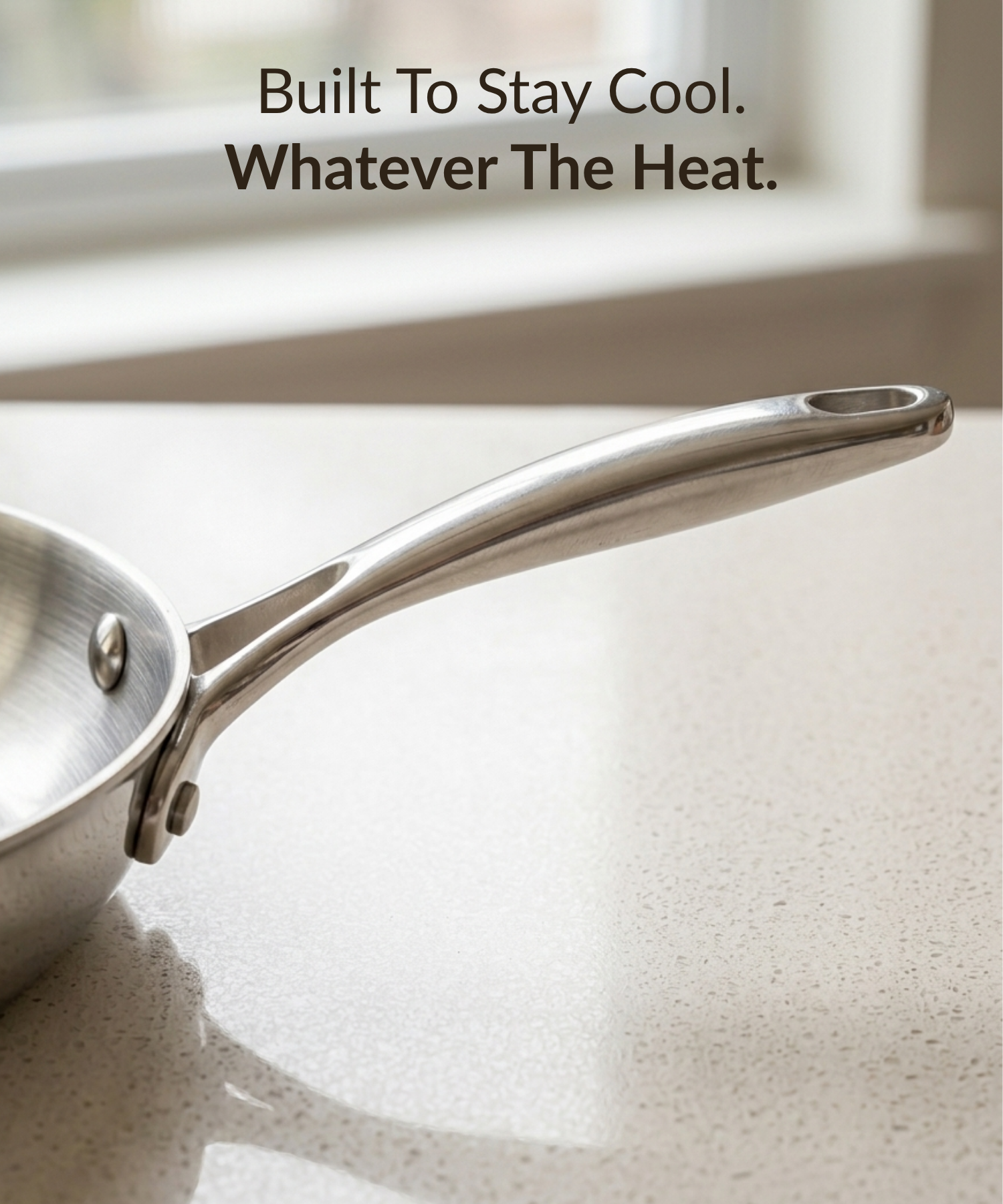 Stainless Steel Pan