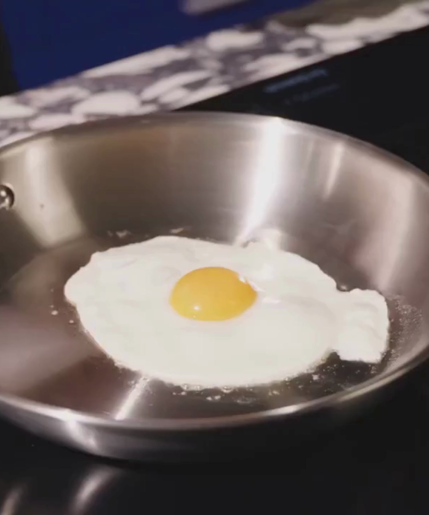 Stainless Steel Pans